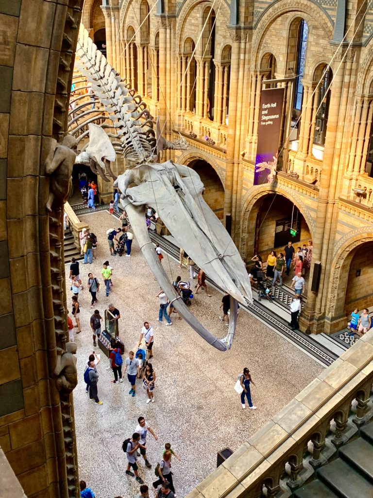 Natural History Museum