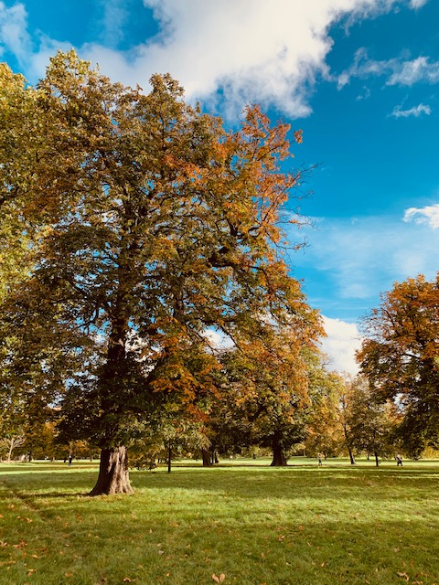 Londres en automne