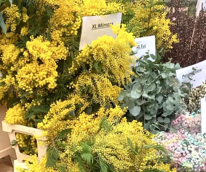 Columbia Road Flower Market