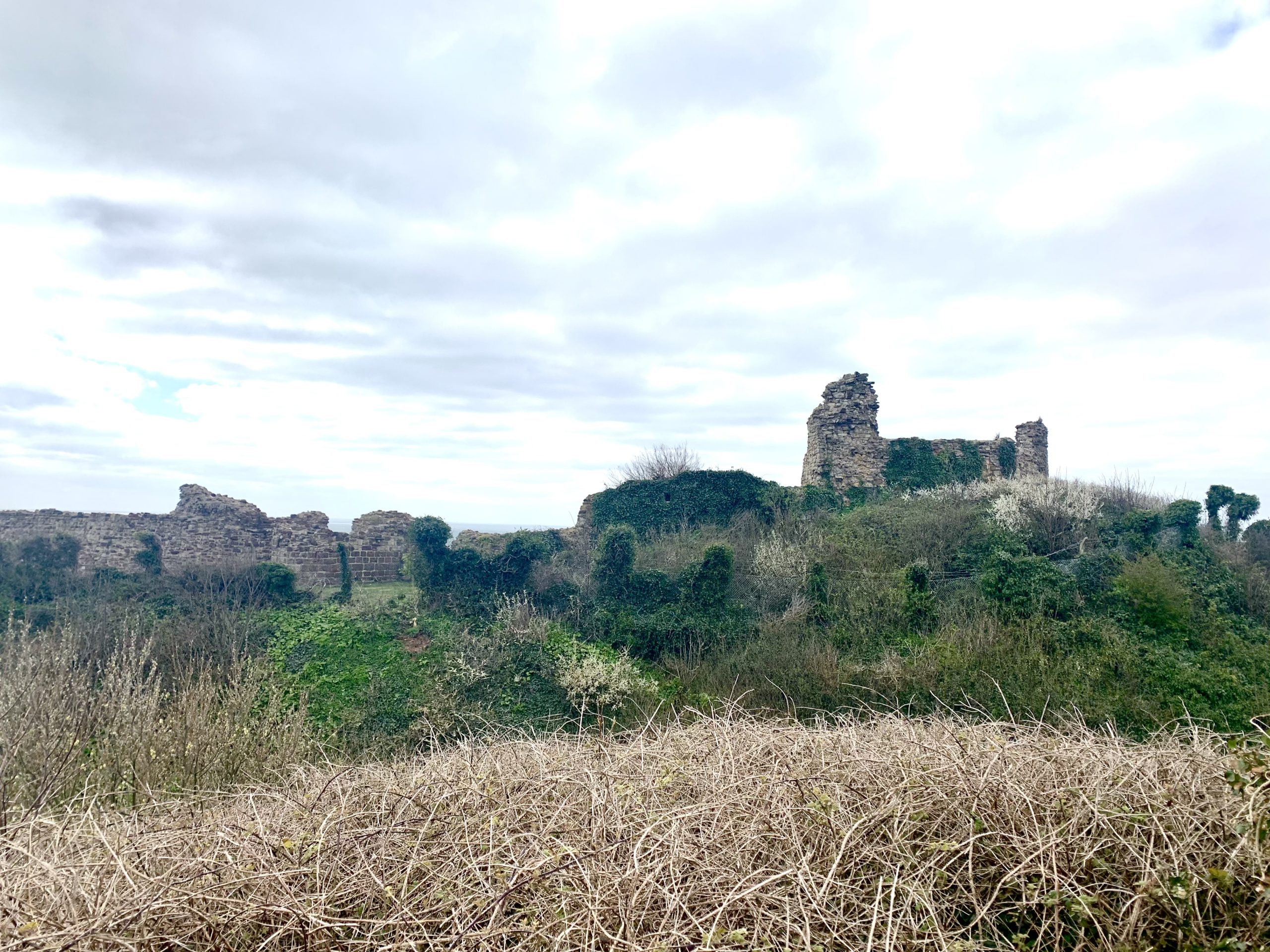 Fort Hastings