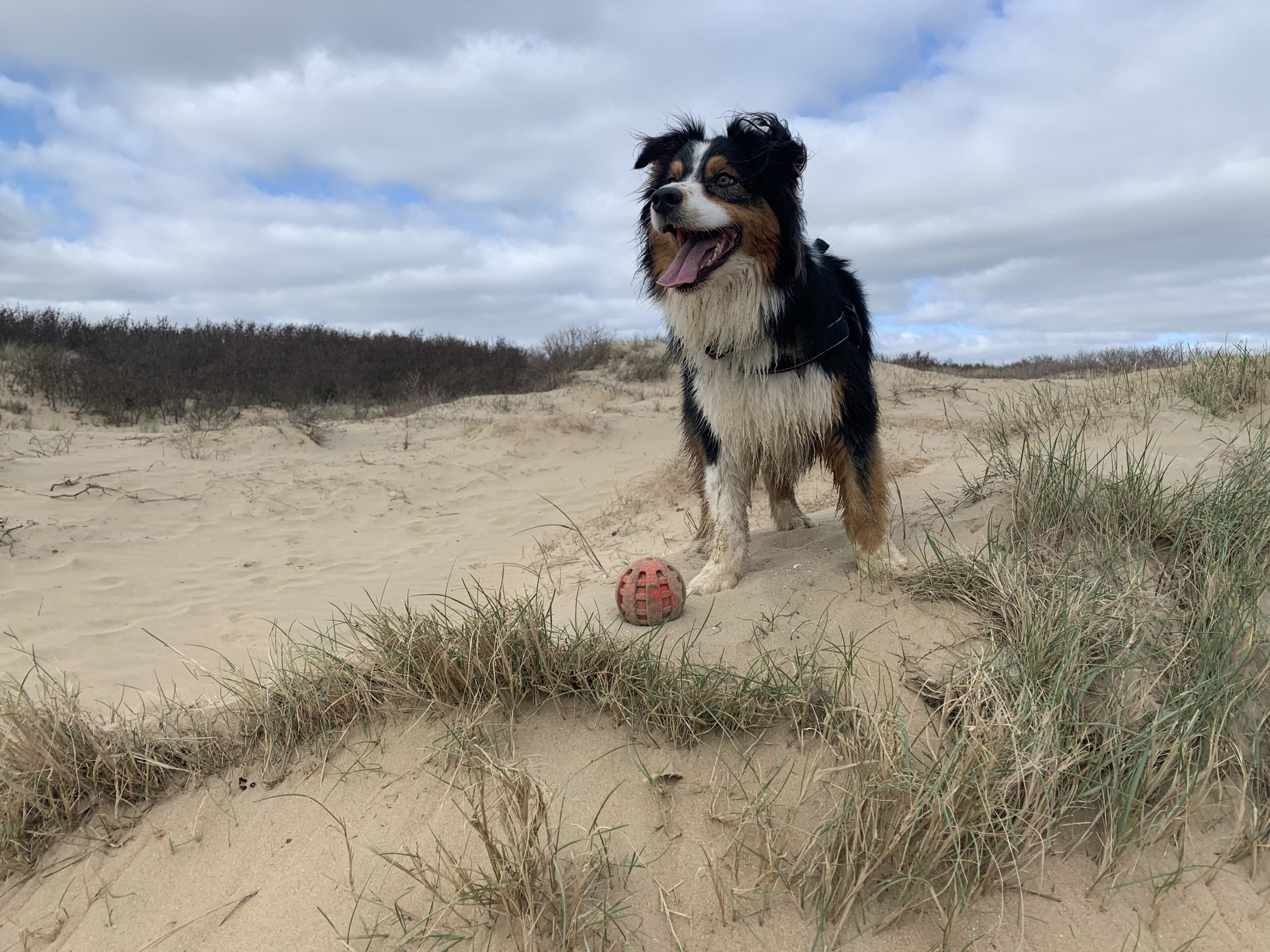 Camber Sands