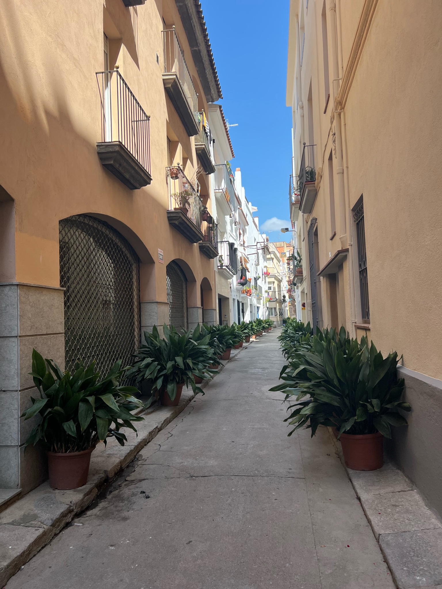 Petite ruelle de Blanes