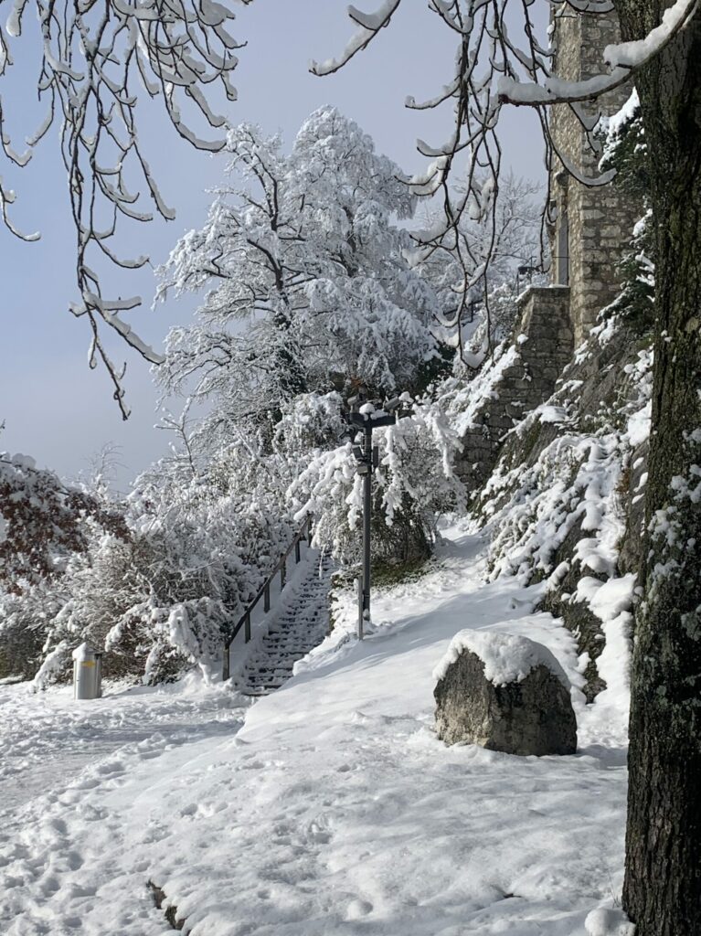 View with snow